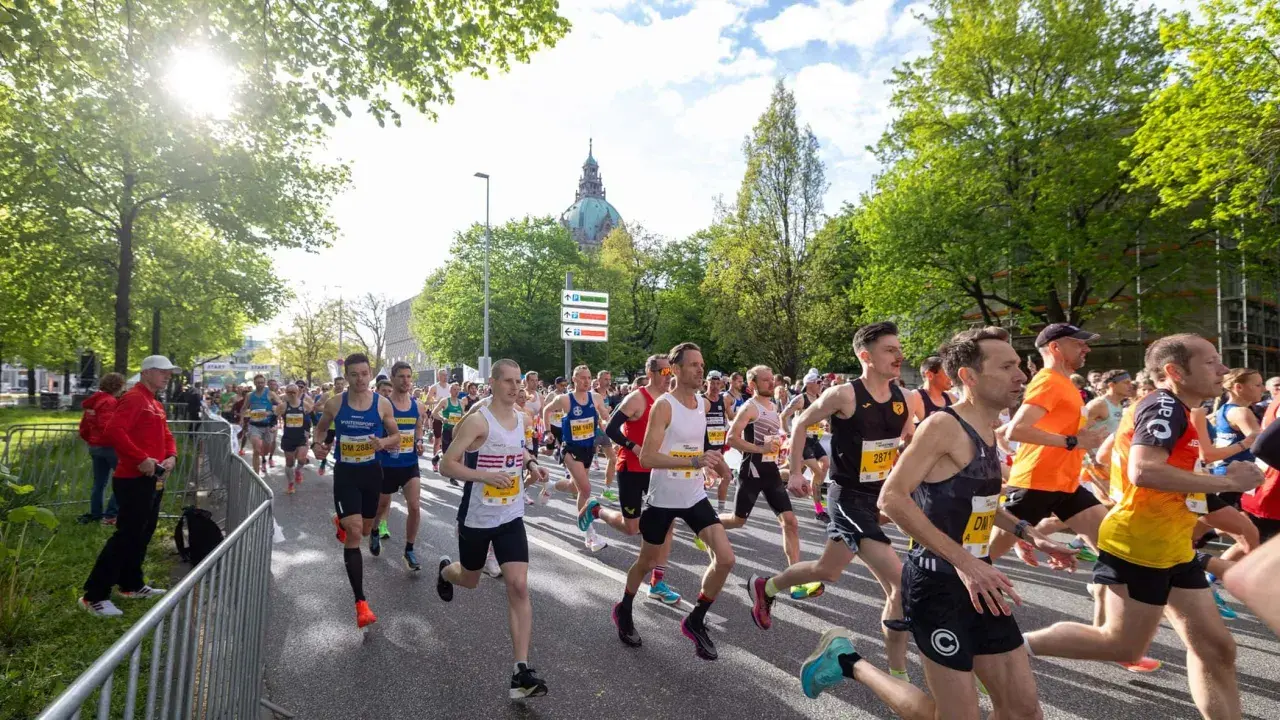 Läufer beim main city run, Sonnenschein und grüne Bäume säumen die Strecke.