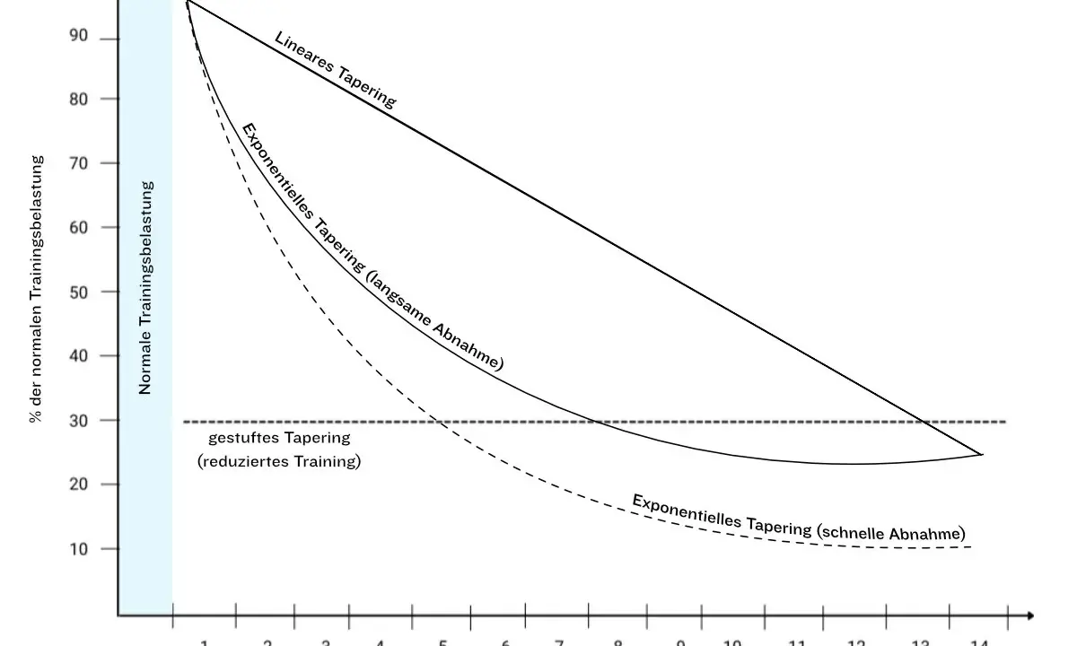 Diagramm zeigt drei Tapering-Methoden: linear, exponentiell (langsam/schnell) und gestuft. Ideal für die Vorbereitung auf einen Halbmarathon.