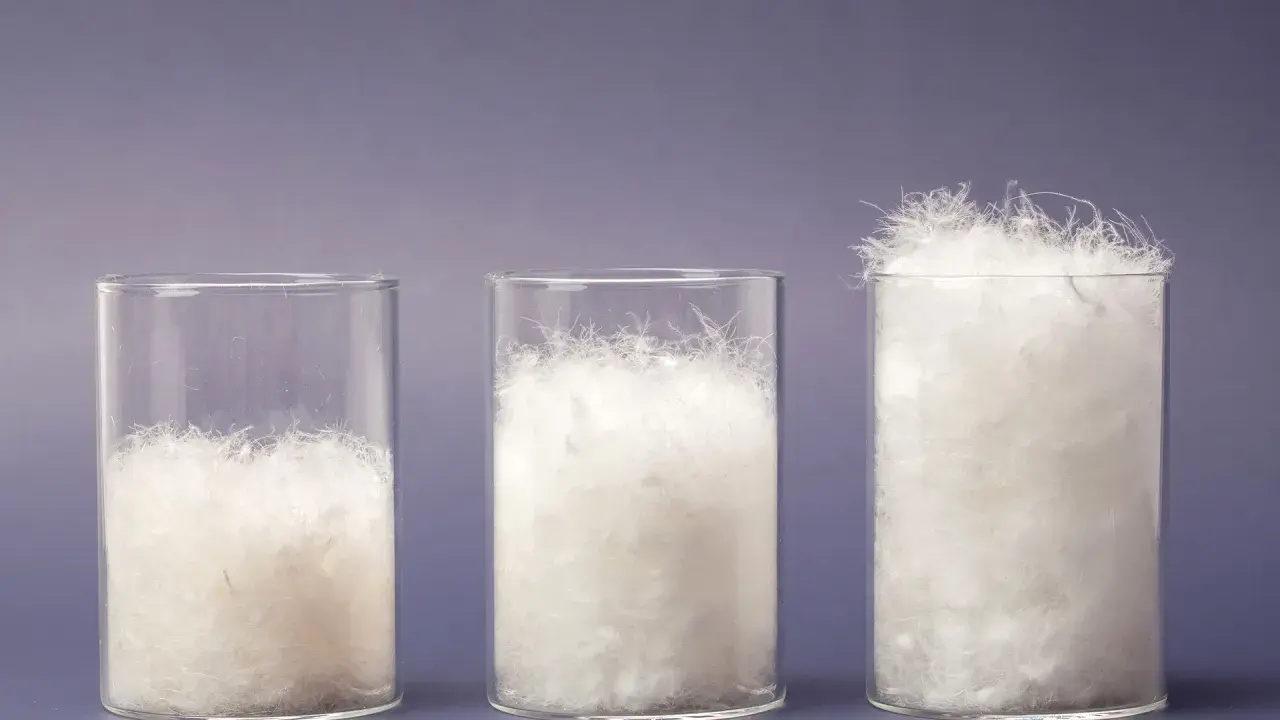 Drei Gläser zeigen die Füllkraft von Daunen. Das rechte Glas mit 600 cuin Füllkraft ist am vollsten und verspricht beste Temperaturisolierung.