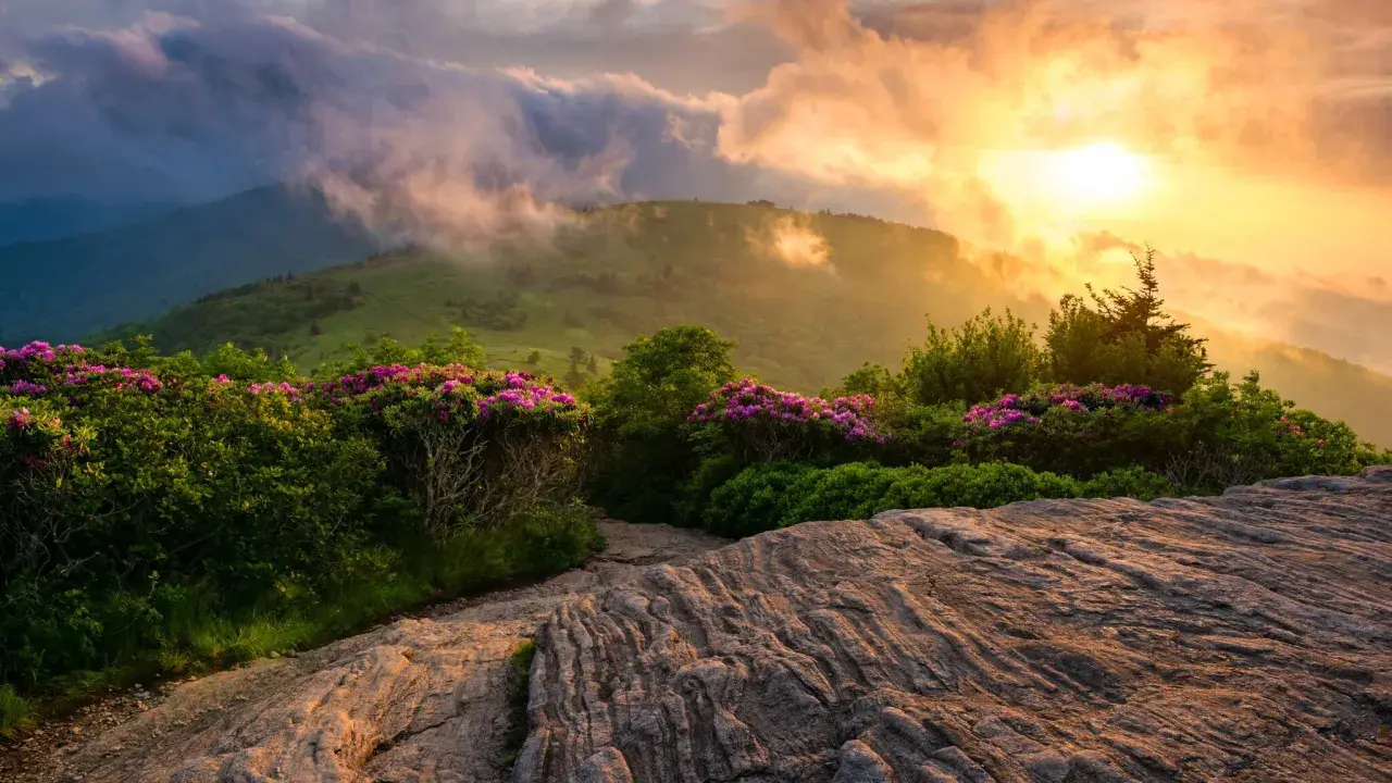 Sonnenaufgang über den Bergen, blühende Rhododendren säumen den Weg. Ein malerischer Abschnitt der Appalachian Trail Etappen.