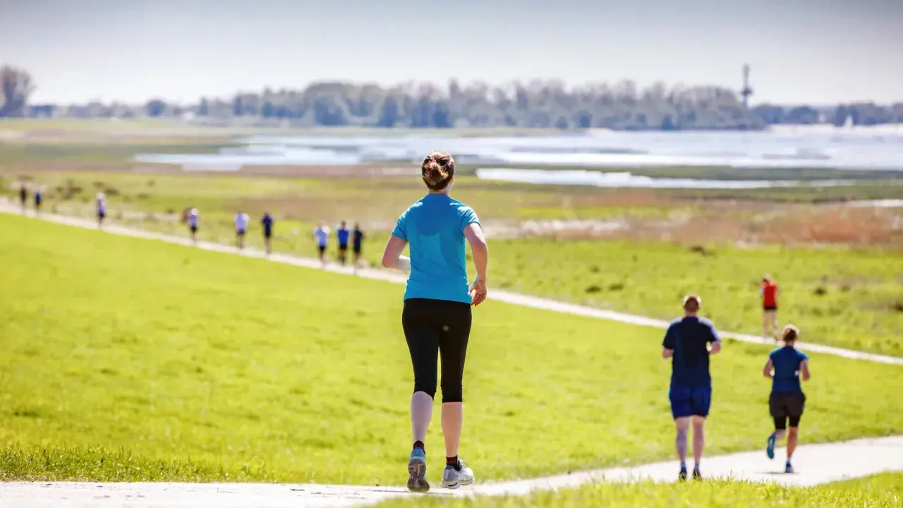 Läuferinnen und Läufer beim Wedeler Halbmarathon auf einer grünen Wiese mit Blick auf das Wasser.