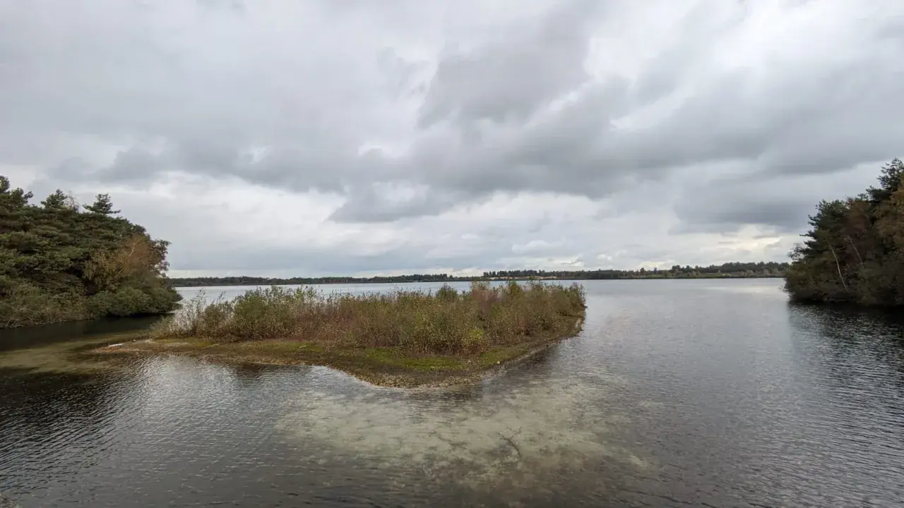 Ein ruhiger See im Nationalpark de Maasduinen unter dramatischem Himmel. Eine kleine, bewachsene Insel ragt aus dem Wasser.