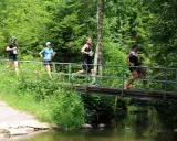 Läufer überqueren eine Brücke beim x trail breitnau.