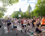 Läufer beim main city run, Sonnenschein und grüne Bäume säumen die Strecke.