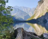 Blick auf den Königssee mit Bergpanorama. Ein Baumstumpf im Vordergrund lädt zur Königssee Umrundung ein.