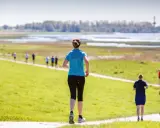Läuferinnen und Läufer beim Wedeler Halbmarathon auf einer grünen Wiese mit Blick auf das Wasser.