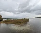 Ein ruhiger See im Nationalpark de Maasduinen unter dramatischem Himmel. Eine kleine, bewachsene Insel ragt aus dem Wasser.