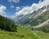 Grüne Almwiesen und Nadelwälder säumen das Tal auf einer Montblanc Tour. Majestätische Berge mit Schneefeldern ragen in den blauen Himmel.