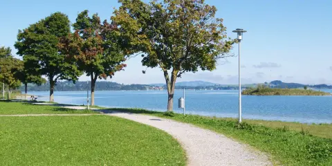 Ein Kiesweg führt am Ufer entlang, Bäume säumen den Panoramaweg Füssen. Blauer See und sanfte Hügel im Hintergrund.