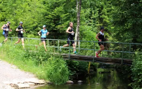 Läufer überqueren eine Brücke beim x trail breitnau.