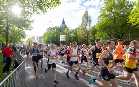 Läufer beim main city run, Sonnenschein und grüne Bäume säumen die Strecke.