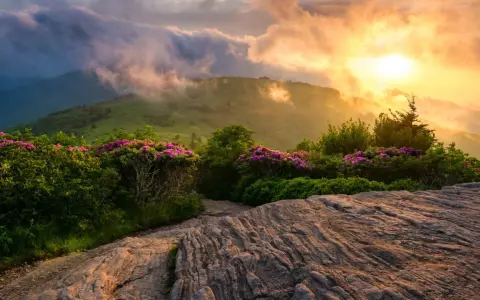 Sonnenaufgang über den Bergen, blühende Rhododendren säumen den Weg. Ein malerischer Abschnitt der Appalachian Trail Etappen.