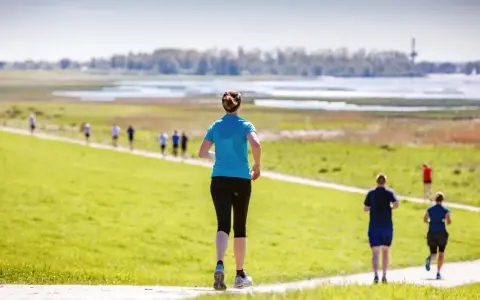 Läuferinnen und Läufer beim Wedeler Halbmarathon auf einer grünen Wiese mit Blick auf das Wasser.