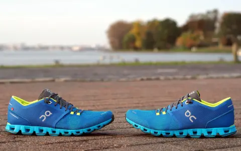 Zwei blaue Laufschuhe, Modell Cloud X4 Damen, stehen auf einem gepflasterten Weg. Im Hintergrund ein See und Bäume.