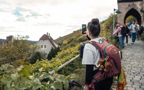 Frau macht Foto auf Wanderung bei Stuttgart. Weinberge und Häuser im Hintergrund.