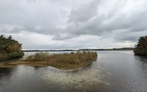 Ein ruhiger See im Nationalpark de Maasduinen unter dramatischem Himmel. Eine kleine, bewachsene Insel ragt aus dem Wasser.