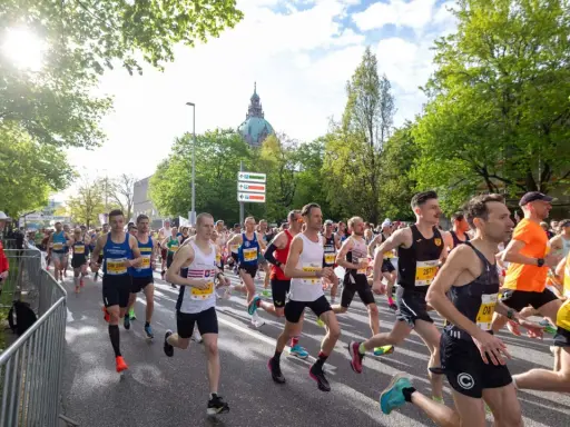 Läufer beim main city run, Sonnenschein und grüne Bäume säumen die Strecke.