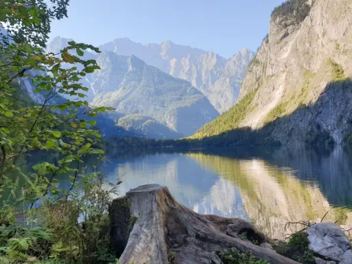 Blick auf den Königssee mit Bergpanorama. Ein Baumstumpf im Vordergrund lädt zur Königssee Umrundung ein.