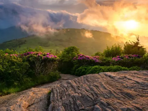 Sonnenaufgang über den Bergen, blühende Rhododendren säumen den Weg. Ein malerischer Abschnitt der Appalachian Trail Etappen.