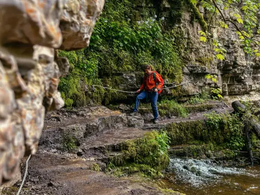 Wanderin auf einem moosbewachsenen Pfad im Schwarzwald, mit Felsen und einem Bach.