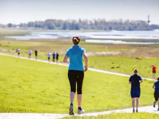 Läuferinnen und Läufer beim Wedeler Halbmarathon auf einer grünen Wiese mit Blick auf das Wasser.