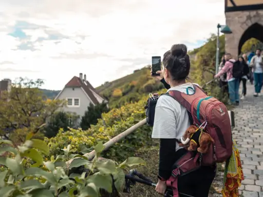 Frau macht Foto auf Wanderung bei Stuttgart. Weinberge und Häuser im Hintergrund.