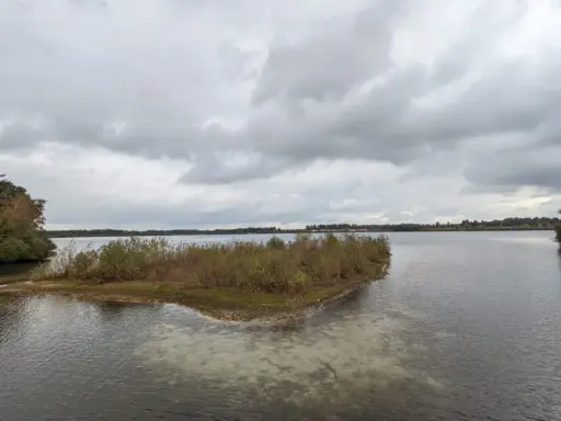Ein ruhiger See im Nationalpark de Maasduinen unter dramatischem Himmel. Eine kleine, bewachsene Insel ragt aus dem Wasser.