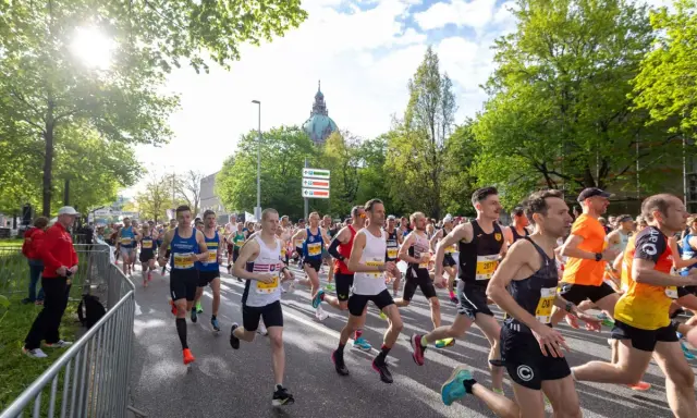 Läufer beim main city run, Sonnenschein und grüne Bäume säumen die Strecke.