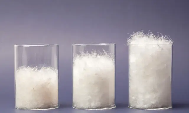 Drei Gläser zeigen die Füllkraft von Daunen. Das rechte Glas mit 600 cuin Füllkraft ist am vollsten und verspricht beste Temperaturisolierung.