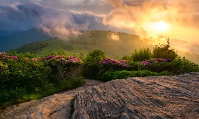Sonnenaufgang über den Bergen, blühende Rhododendren säumen den Weg. Ein malerischer Abschnitt der Appalachian Trail Etappen.