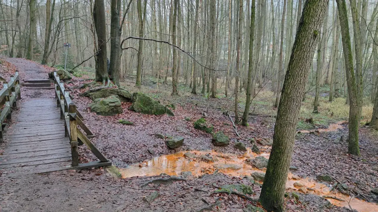 Holzbrücke über einen Bach mit orangefarbenem Wasser im Wald. Ein schöner Ort für einen trail wandern.