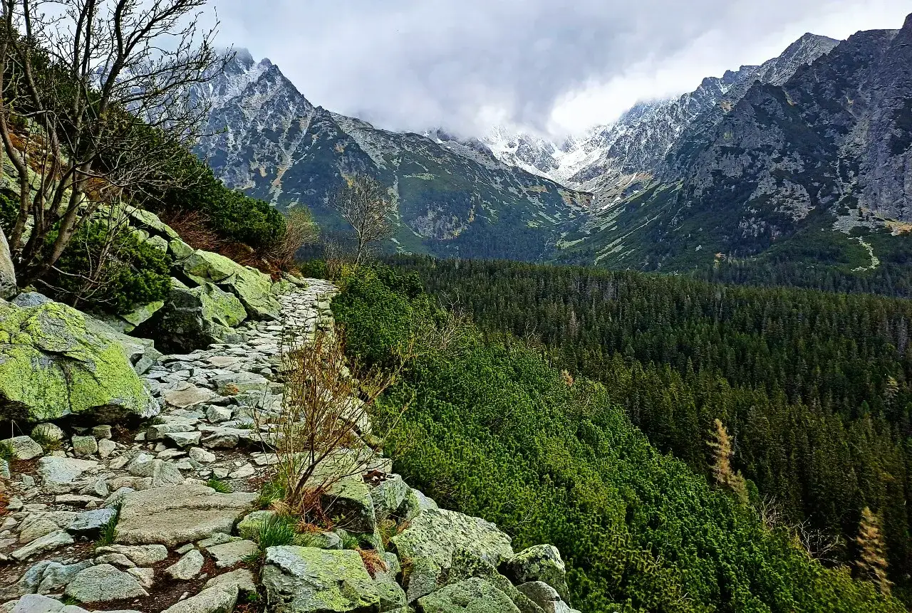 Steiniger Pfad im Tatra Gebirge, ideal zum Wandern. Grüne Hänge und schneebedeckte Gipfel im Hintergrund.