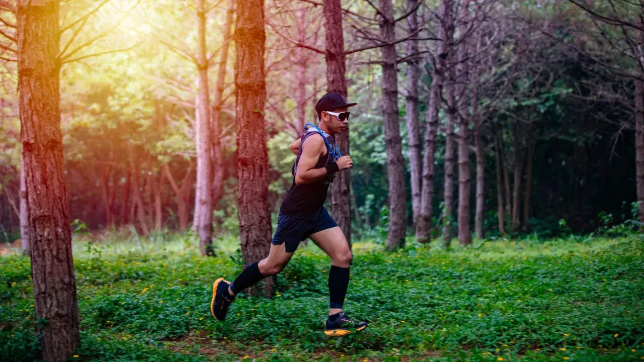 Läufer im Wald verbessert seinen VO2 max. Sonnenlicht fällt durch die Bäume auf den grünen Waldboden.