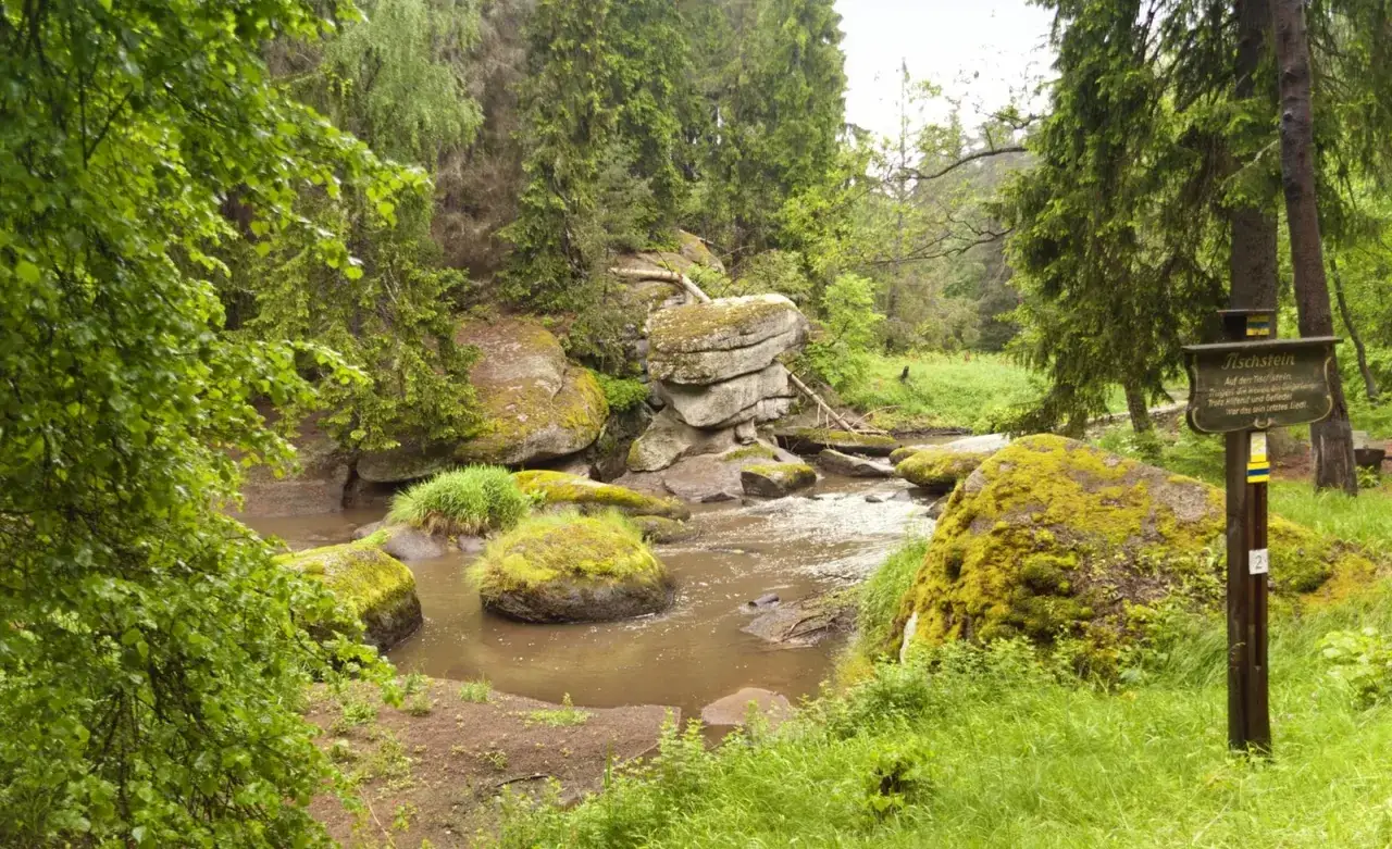 Ein Bach flie&szlig;t durch einen moosbewachsenen Felsenwald. Ein Schild weist auf den 