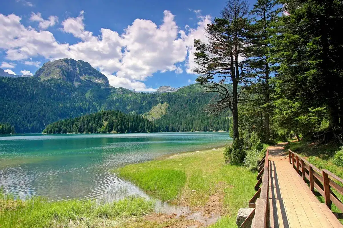 Holzsteg am See im Durmitor Nationalpark. Perfekt f&uuml;r eine Wanderung durch die Natur.