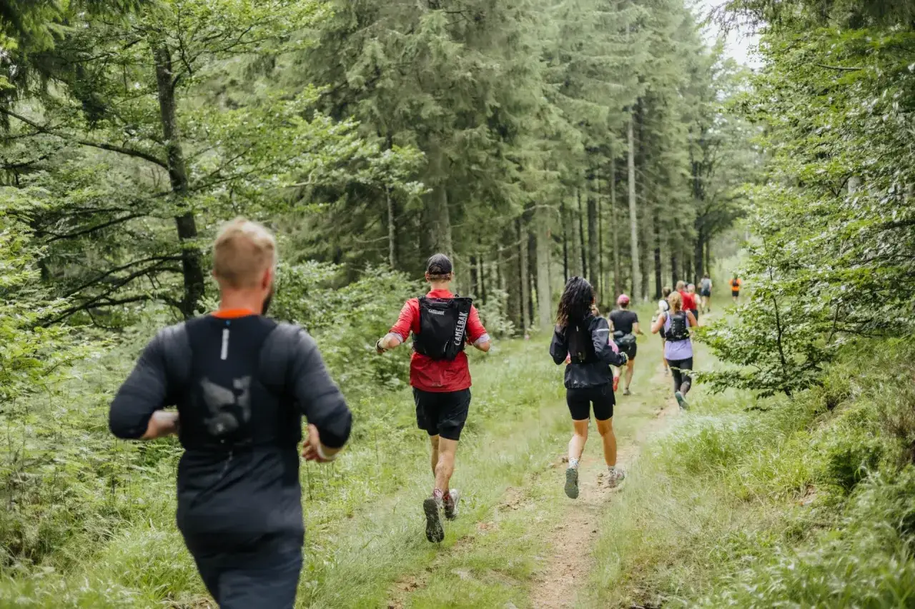 Drei Läufer, wie Könige auf drei Hügeln, kämpfen sich durch den Wald.