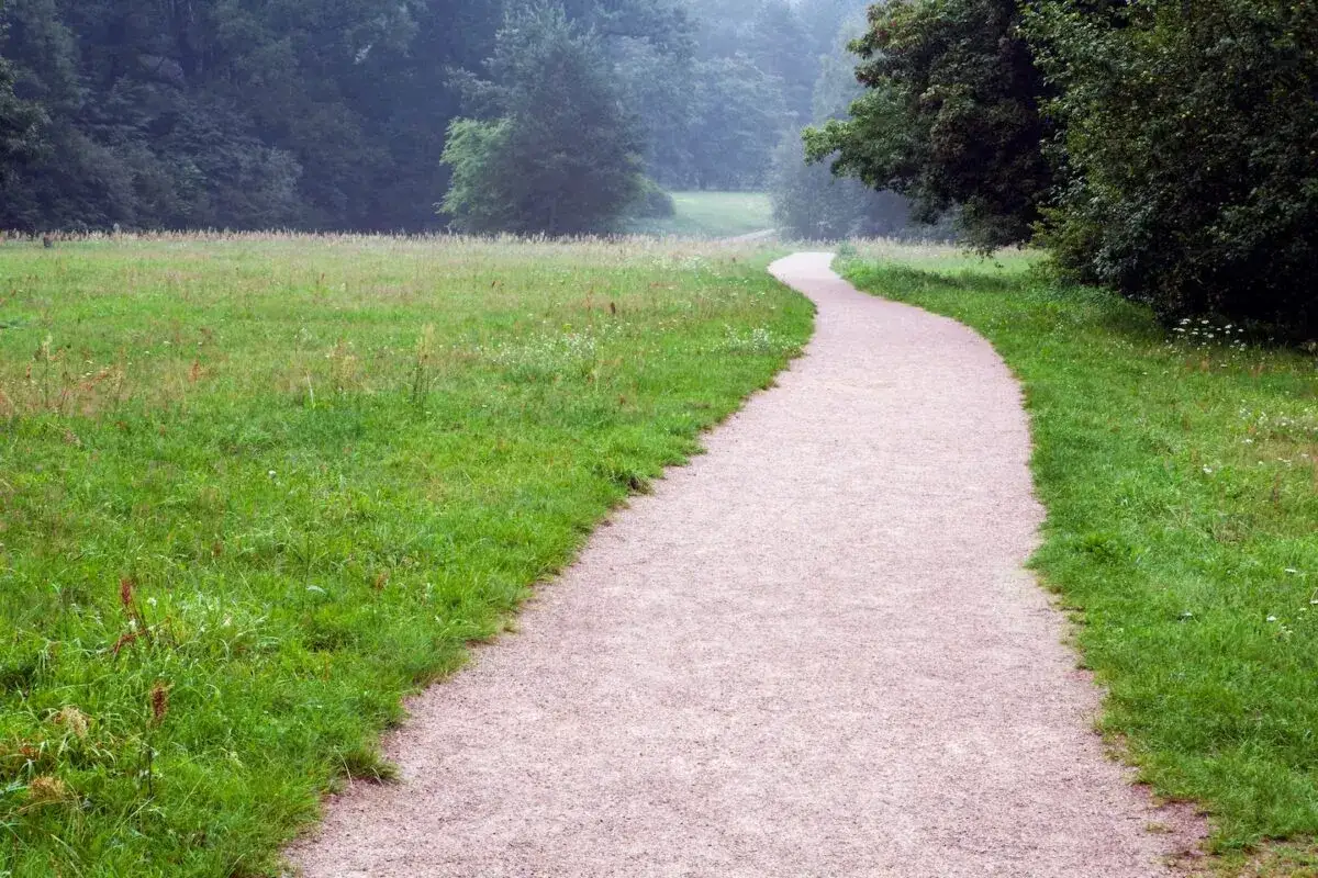 Ein geschwungener Kiesweg f&uuml;hrt durch eine gr&uuml;ne Wiese in einen nebligen Wald. Perfekt f&uuml;r deine Jogging-Tipps!